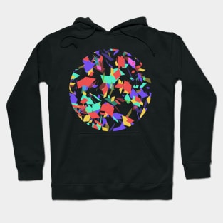 Random colorful sparkles Hoodie